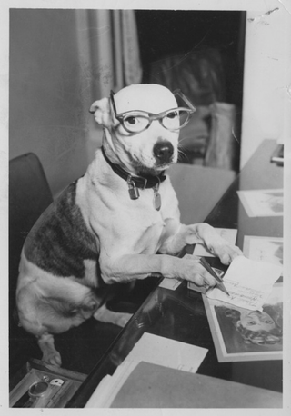 Illustration for article titled Even In The 1900s, Humans Were Obsessed With Photos Of Dogs In Clothes